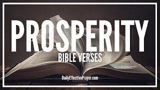 Bible Verses On Prosperity  Scriptures For Prosperity Wealth Success Audio Bible [upl. by Adnirb492]