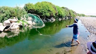 Increíble PESCA de Camarones en Río con la Mejor Red Atarraya [upl. by Anoyet497]