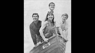 The Seekers  Colours of my Life HQ Stereo 196768 [upl. by Sirdna68]