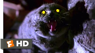 Pet Sematary 1989  The Cat Comes Back Scene 210  Movieclips [upl. by Aicyla]