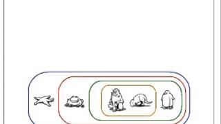 How to Build a Cladogram [upl. by Ezarra]