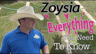 Everything You Need To Know About Zoysia Grass [upl. by Aketal570]