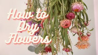 HOW TO DRY FLOWERSEasy Way to Dry Flowers at Home [upl. by Anayad]