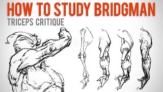 How to Study Bridgman  Student Anatomy Critique [upl. by Annamarie]