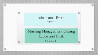 Maternal Newborn OBNurseRNStudentRicci 4th Ed Full lecture Ch 1314 LaborBirthNurse Role 21 [upl. by Ettenil]