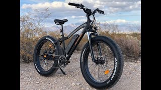 Rad Power Bikes RadRover Fat Electric Bike Review  Electric Bike Report [upl. by Aynekat]