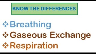 Respiratory System  Breathing Gaseous Exchange and Respiration [upl. by Nicolella654]