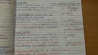 Transcription in Eukaryotes [upl. by Woodcock]