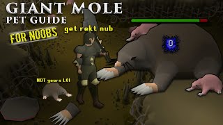 OSRS Giant Mole Guide For Noobs [upl. by Randal]