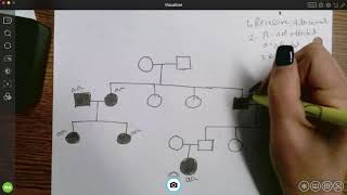 Genotypes and pedigrees [upl. by Fanchette]