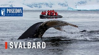 Svalbard in 1 minute  The ultimate Arctic getaway [upl. by Lurline]