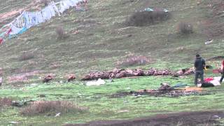 sky burial ceremony in tibet [upl. by Granniah]