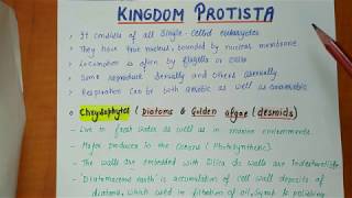 Class 11th  Kingdom protista  Biological Classification Part2  Chapter2 NOTES [upl. by Salisbury640]