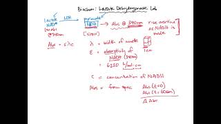 Calculating LDH activity  BIOL307 [upl. by Judith419]