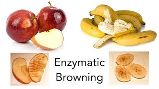 Why Do Apples and Bananas Turn Brown  STEM activity [upl. by Nerti]