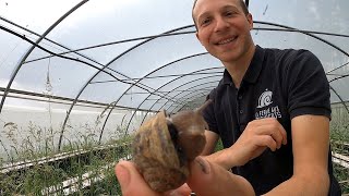 Escargots 🐌 Eating French Food at a Snail Farm [upl. by Aprile943]