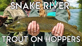 Epic Snake River Hopper Fishing [upl. by Celik247]