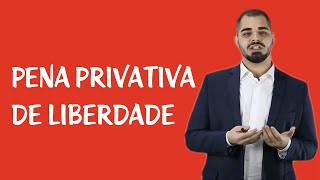 Teoria da Pena  Pena Privativa de Liberdade [upl. by Gadmann913]