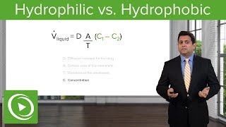 Hydrophilic vs Hydrophobic Absorption and Distribution – Pharmacokinetics PK  Lecturio [upl. by Bruner730]