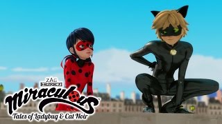 Miraculous Ladybug  ANIMAN  Ladybug and Cat Noir [upl. by Shirleen200]