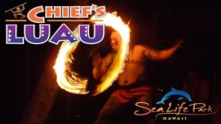 Chiefs Luau Entire Show Sea Life Park  Oahu Hawaii 11415 [upl. by Kerk]