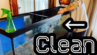 Clean Old Aquarium Glass  Mineral Buildup amp Stains [upl. by Sicular]