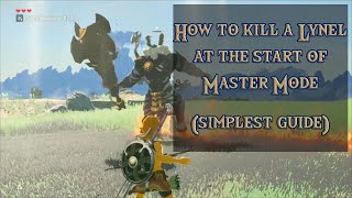 How to Beat Lynel at Start of Master Mode No Damage Guide  Legend of Zelda Breath of the Wild [upl. by Airekat]