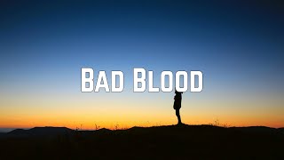 Taylor Swift  Bad Blood Lyrics [upl. by Nelly266]