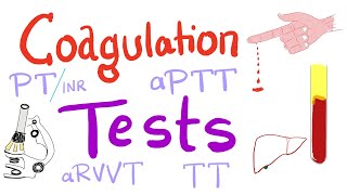 Coagulation Tests  PT aPTT TT Fibrinogen Mixing Studies [upl. by Silvia135]