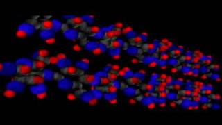 Organic Molecules Carbohydrates  Cell Biology  Biochemistry [upl. by Parrie]