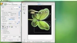 Scanning using the Epson Software [upl. by Bohun]