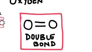 Double and Triple Covalent Bonds [upl. by Schurman387]