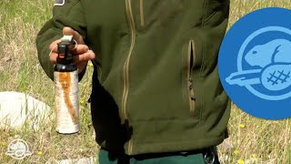 How to Use Bear Spray  Banff National Park [upl. by Jahdai37]