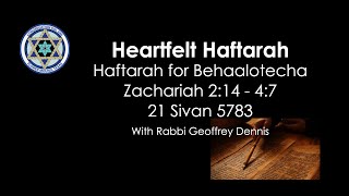 Heartfelt Haftarah  Behaalotecha [upl. by Noved]