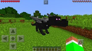 HOW TO SPAWN A BABY ENDER DRAGON in Minecraft Pocket Edition [upl. by Gierk]