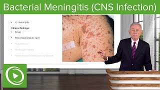 Bacterial Meningitis CNS Infection – Infectious Diseases  Lecturio [upl. by Yssak]