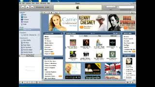 How to Buy Songs From the iTunes Store [upl. by Ecnedac912]