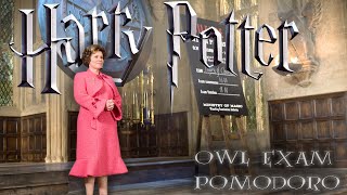 OWL EXAM POMODORO🦉📜 Study at Hogwarts Exam Hall  Music  Fireworks🎆 Breaks Exam Hall Ambience ⚡️ [upl. by Ax]