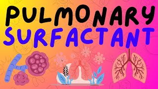 The Respiratory System Pulmonary Surfactant [upl. by Gregrory]