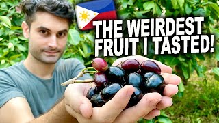 Italian First Time Eating Duhat Fruit in the Philippines [upl. by Htebazile]