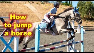 How to Jump a Horse Beginners [upl. by Nylavad]