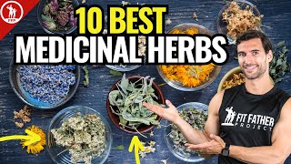 Top 10 Best Medicinal Herbs  For Health amp Vitality [upl. by Niklaus]