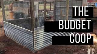 Building a budget chicken coop [upl. by Rothwell611]