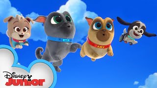 Cupcakes Birthday  Puppy Dog Pals  disneyjr [upl. by Nohsav]