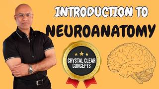 Intro to Neuroanatomy  Neurophysiology  Neuroscience  Central Nervous System [upl. by Onitsoga]