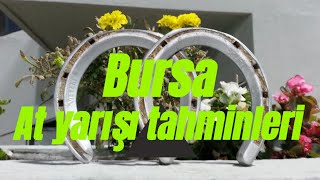 17 Şubat 2025 Pazartesi Bursa At yarışı tahminleri  Horse Turk Altılı ganyan [upl. by Mcdade]