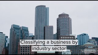 Industry Sectors explained  Classifying businesses based on industry sectors [upl. by Jacobah205]