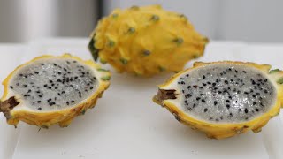 How to Eat Yellow Dragon Fruit Pitahaya Pitaya  Taste Test [upl. by Ynneg]