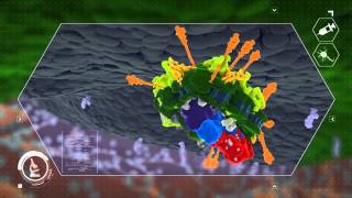 Botulinum Neurotoxin Mechanism of Action [upl. by Marsh]