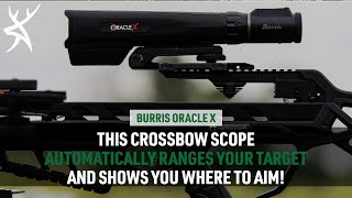 Review Burris Oracle X Rangefinding Crossbow Scope [upl. by Naes891]